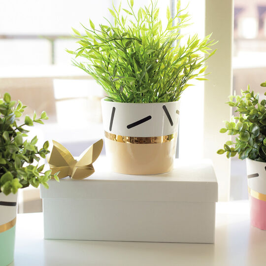 Klebefolie Uni Lack natur image number null